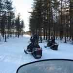 Schwedisch Lappland: Mit dem Motorschlitten auf Elch-Safari