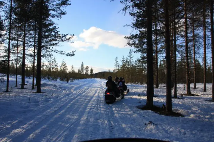 Mit den Motorschlitten durch die verschneiten Wälder von Svansele in Schwedisch Lappland, Elch-Safari