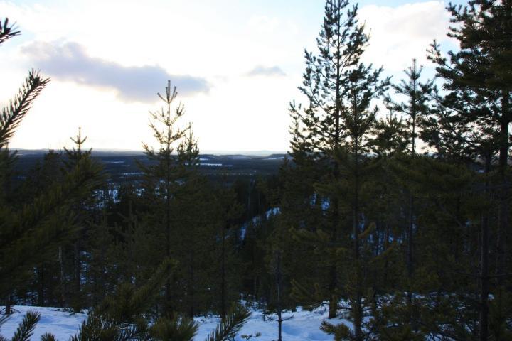 Ausblick über die Landschaft Schwedisch Lapplands in Svansele