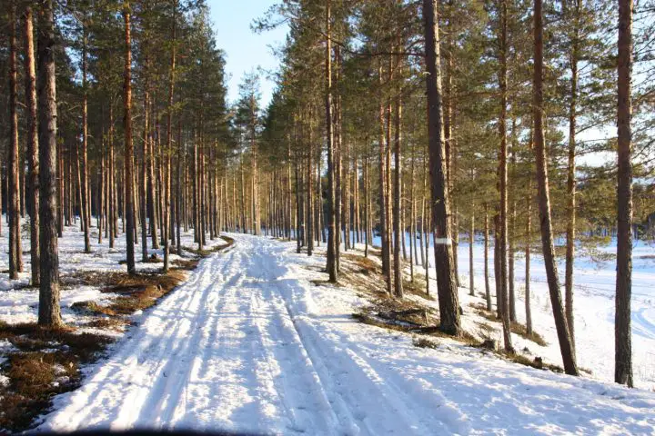 Svansele, Schwedisch Lappland, idyllischer Weg
