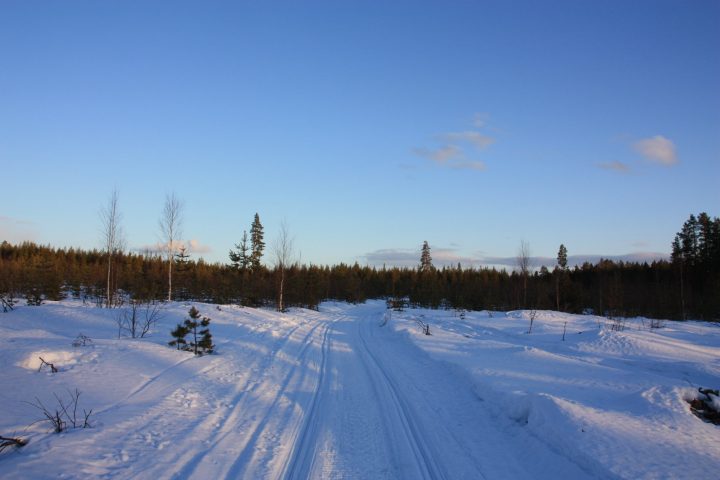 Mit dem Motorschlitten auf Elch-Safari, Weg durch die Wälder von Schwedisch Lappland, Svansele