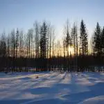 Schwedisch Lappland: Warum ihr im Winter in den hohen Norden fahren solltet!