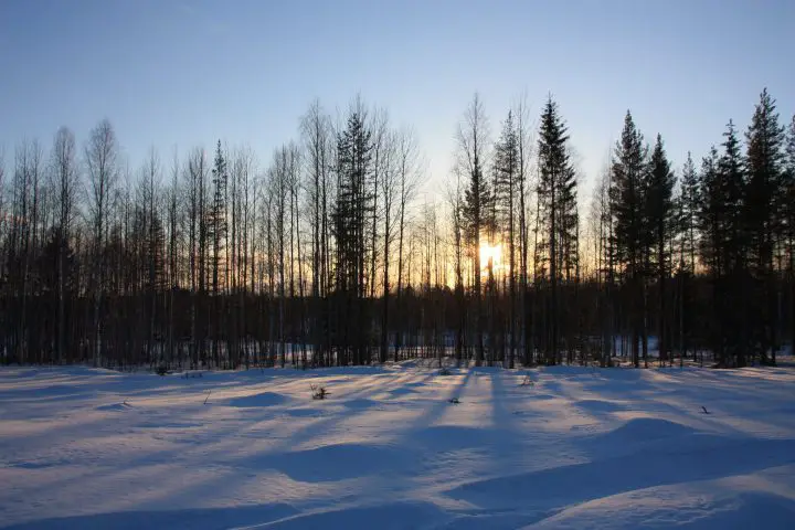 Sonnenuntergang in Schwedisch Lappland, Svansele