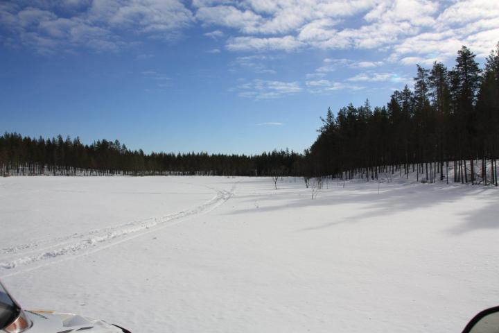 Elch-Safari mit dem Motorschlitten in Schwedisch Lappland, Svansele