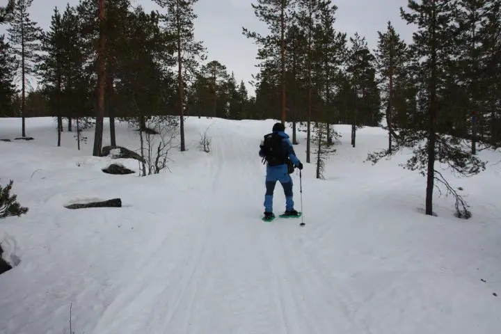 Schwedisch Lappland, Urlaub auf dem Bauernhof, Stormyrbergets Lantgard