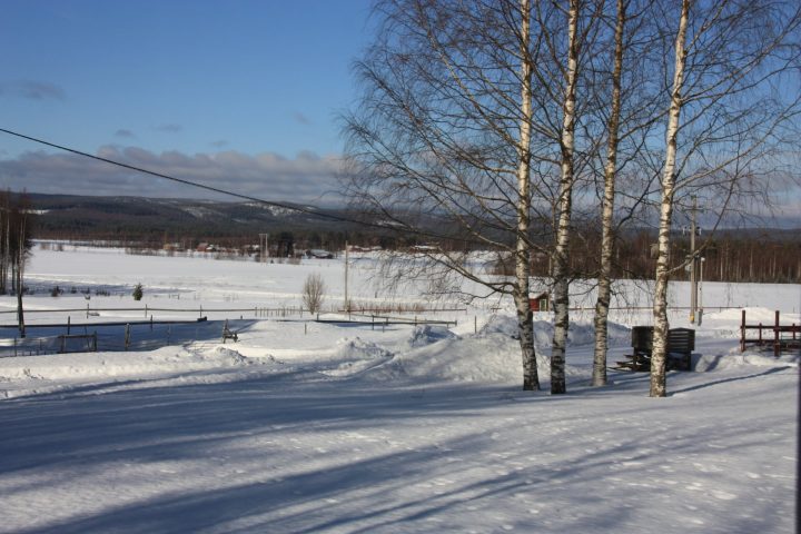 Schwedisch Lappland, Urlaub auf dem Bauernhof, Die Aussicht aus dem Wintergarten von Stormyrbergets Lantgard