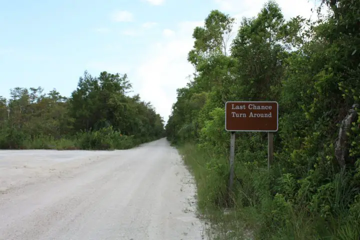 Loop Road, Big Cypress National Preserve, Everglades, Florida