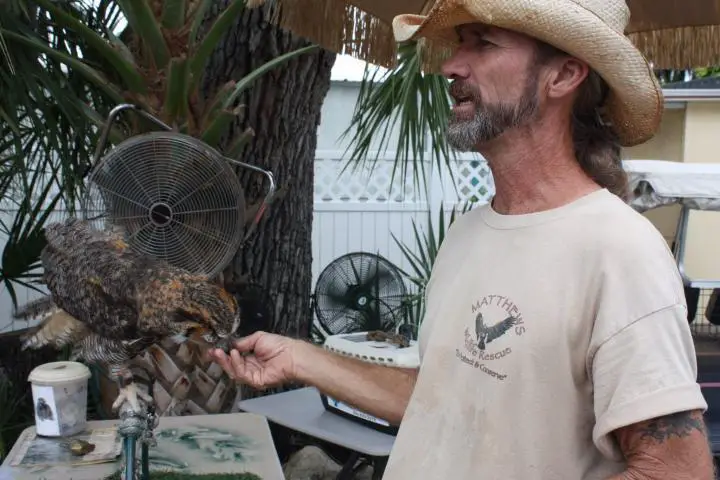 Justin Matthews Wildlife Rescue, Florida