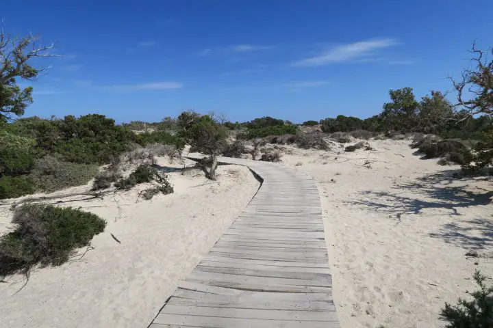 Holzsteg über die Insel, Karibik-Feeling auf Chrissi Island, Kreta mit Kindern