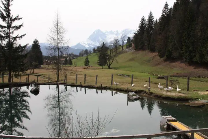 Gänseteich in Werfenweng, Salzburger Land, Urlaub mit Kindern