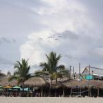 Florida: Venice – Sharky’s on the Pier – Perfekt zum Chillen