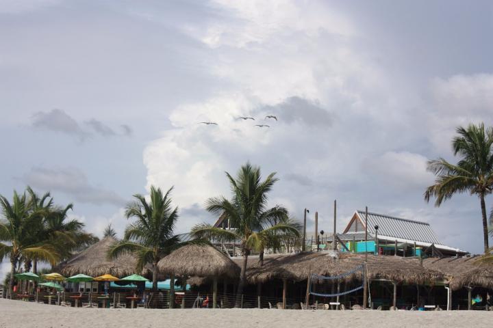 Sharky's on the Pier in Venice Beach, Florida