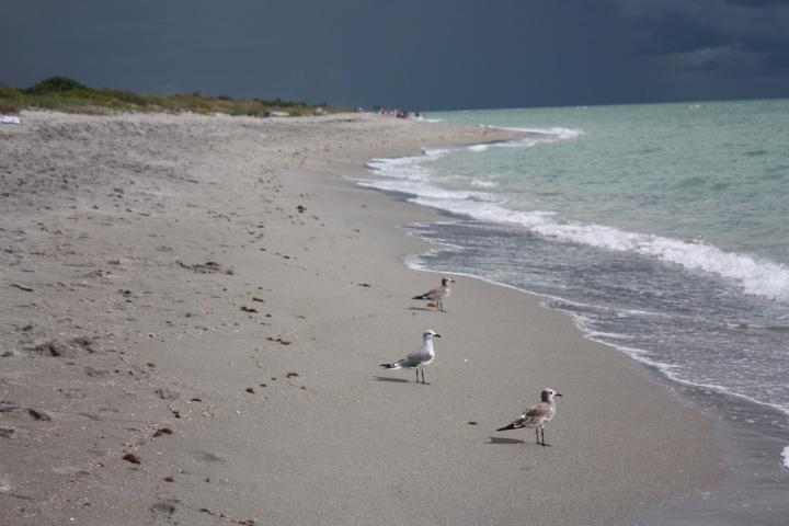 Gewitter in Venice Beach, Florida, Sharky's on the Pier