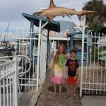 Marco Island: Auf Delfin-Tour in Florida