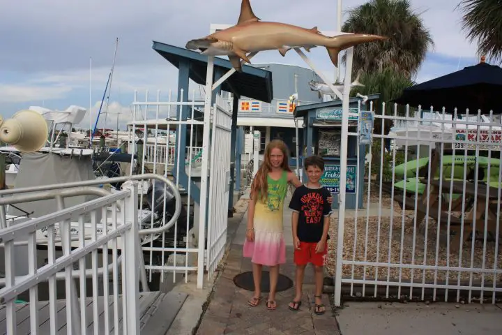 Rose Marina, Dolphin Explorer, Marco Island, Florida