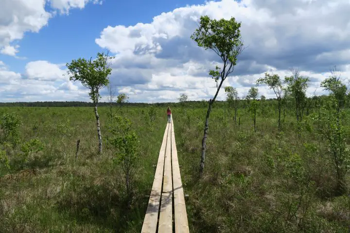 Wandern im Store Mosse Nationalpark, Småland mit Kindern, Schweden mit Kindern