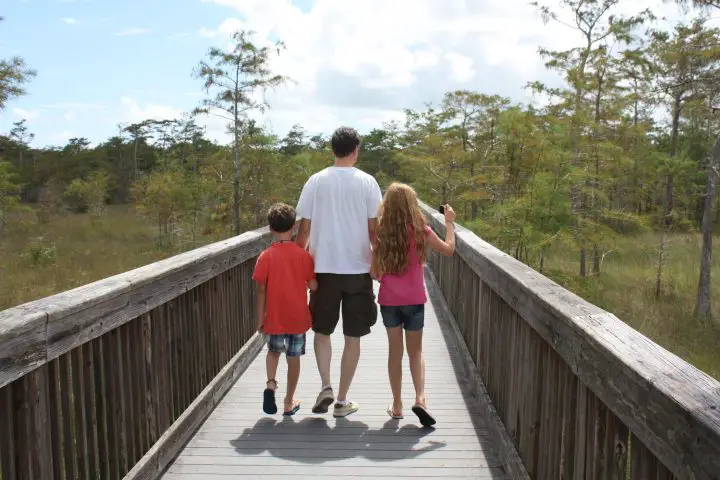 Tamiami Trail, Everglades, Florida mit Kindern