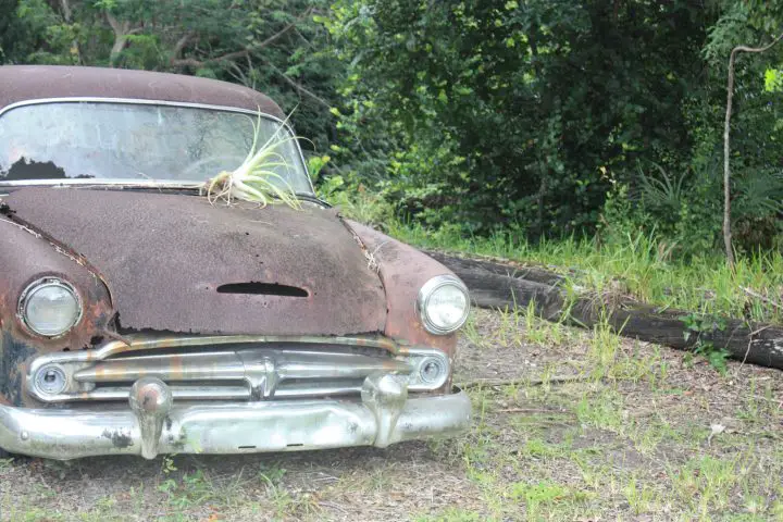 Altes Auto, Loop Road, Everglades, Florida