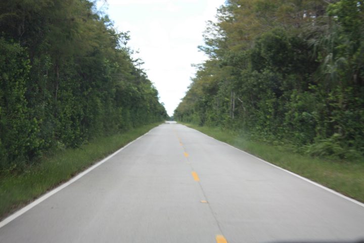 Der Tamiami Trail führt kerzengerade durch die Everglades