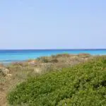 Menorca mit Kindern – die besten Tipps