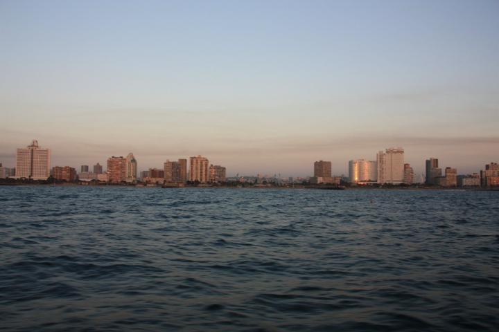 Skyline Durban, Sharks Board Maritime Center, Südafrika, Hai-Tour