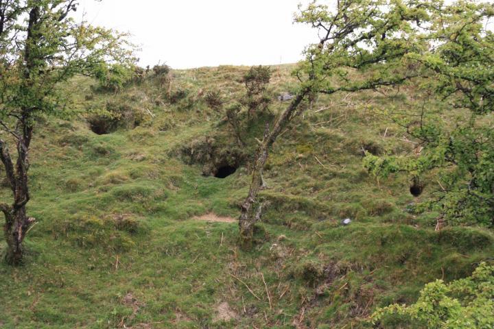 Höhlen im Bodmin Moor in Cornwall, nahe Minions
