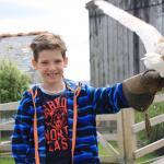 Cornwall: Wo Füchse küssen und Eulen kuscheln