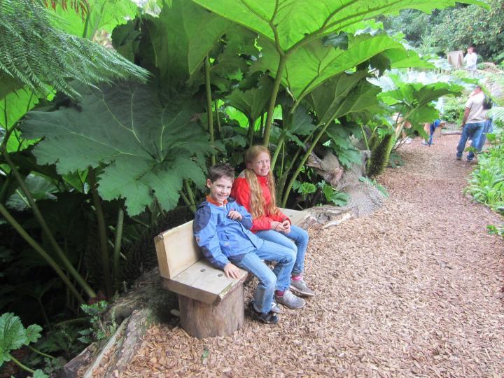 Lost Gardens of Heligan, Cornwall mit Kindern, Riesenblätter