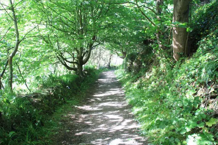 Weg nach Portreath von Gwel an Mor, Portreath, Cornwall