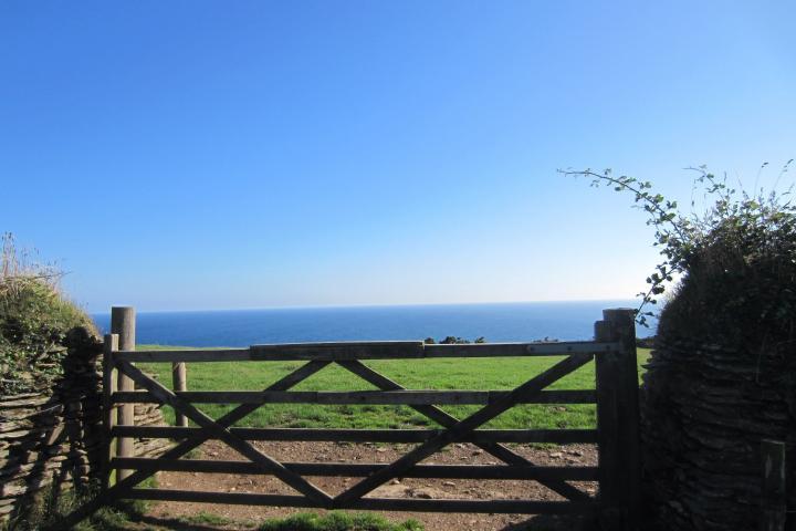 Forest, Portreath, Gwel an Mor, Feadon Farm, Cornwall