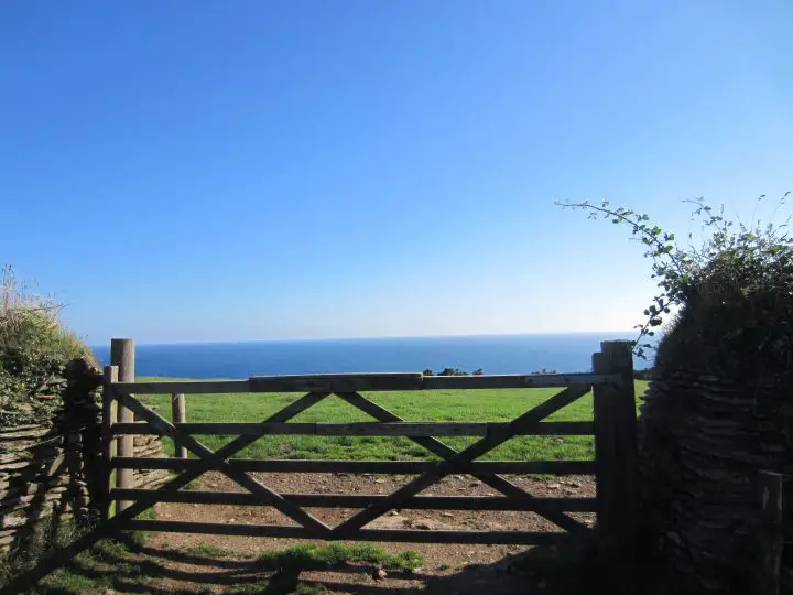 Blick über eine Weide auf das Meer in Polruan, Cornwall, England