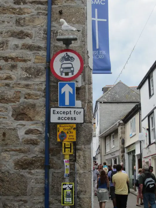 Buntes Verkehrsschild mit Möwe