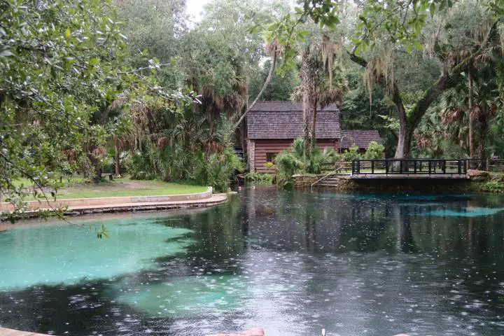 Juniper Springs