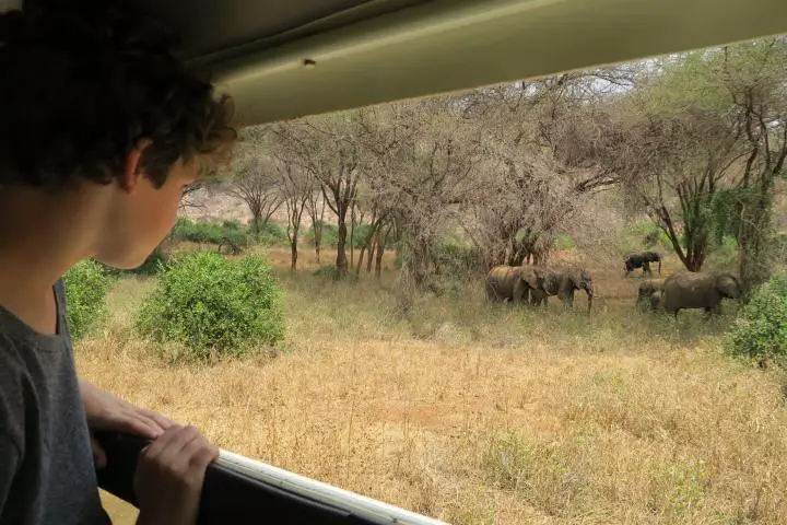 Kenia mit Kindern - auf Safari