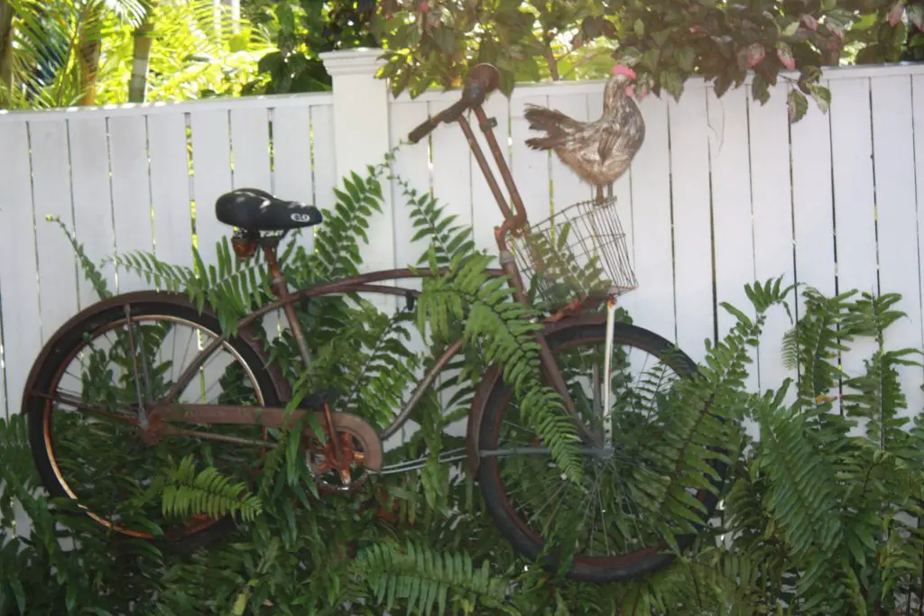 Altes Fahrrad in Key West, Florida