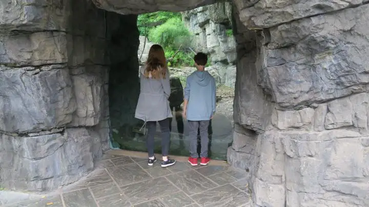 Kinder vor Bärengehege im Central Park Zoo