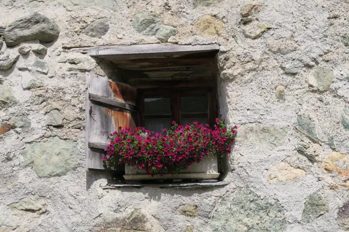 Kleines Fenster mit vielen Blumen auf der Alpflix