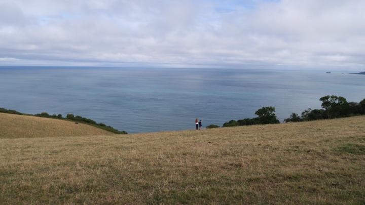 Labrador Bay in Devon