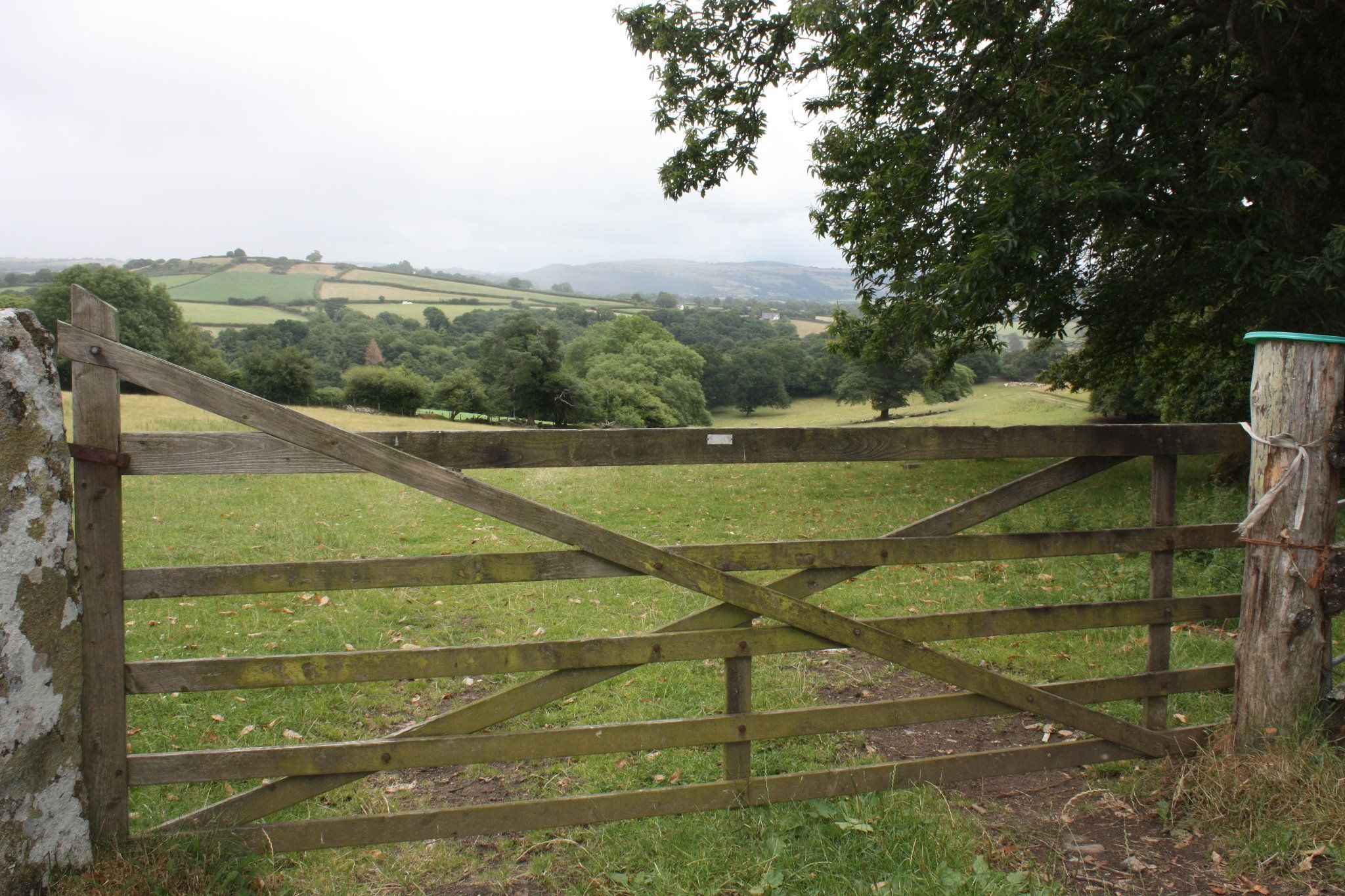 Landschaft im Dartmoor