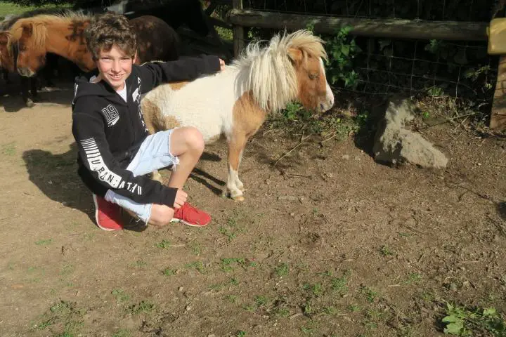 Kind mit Pony im Miniature Pony Center