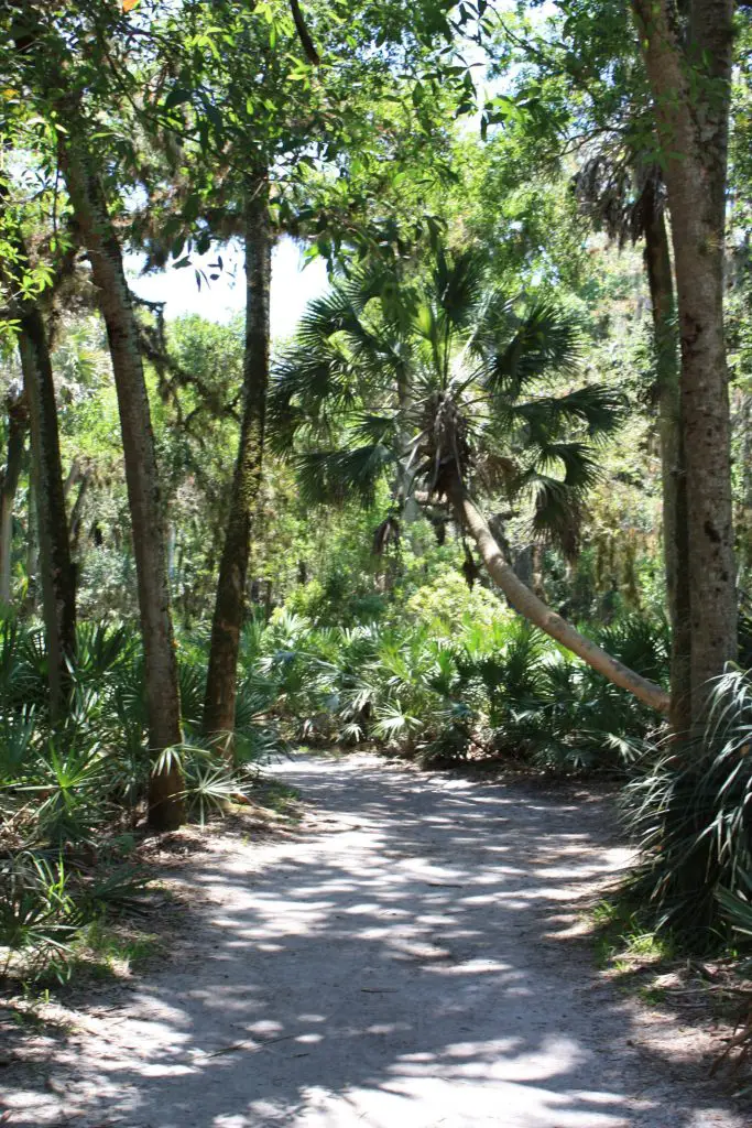 Myakka River State Park Sarasota