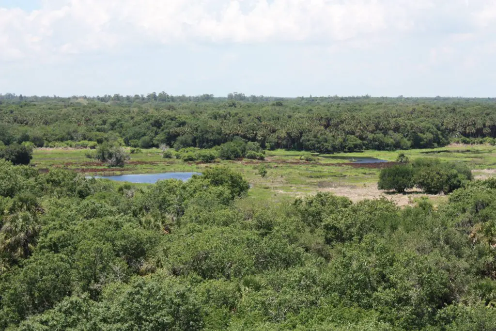 Myakka River State Park Sarasota