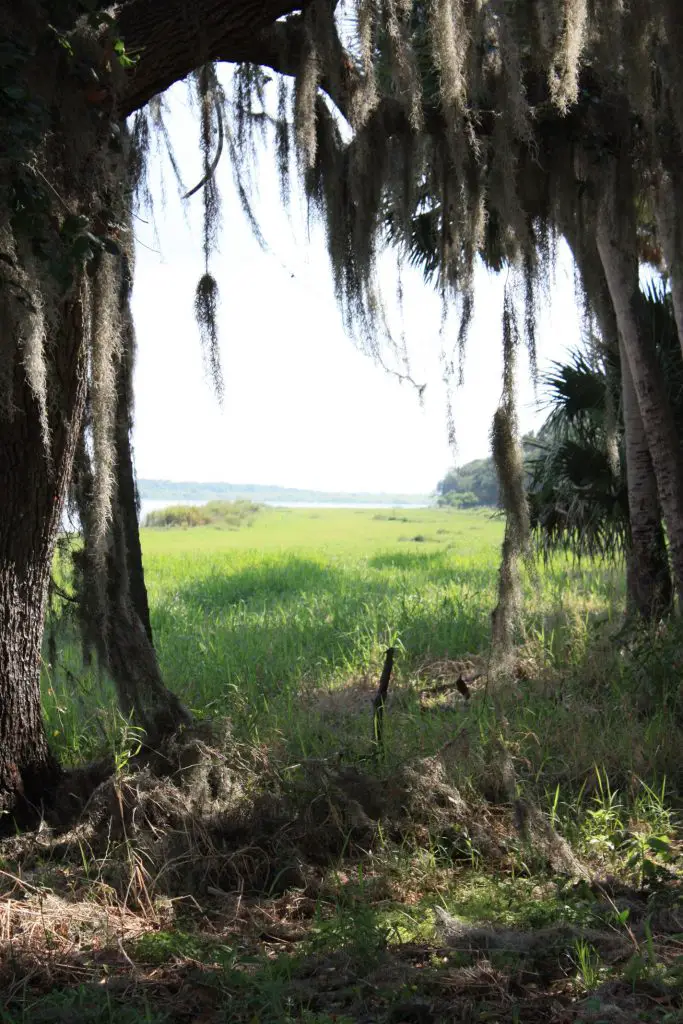 Myakka River State Park Sarasota