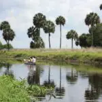 Florida: Myakka River State Park – Wildnis für die ganze Familie