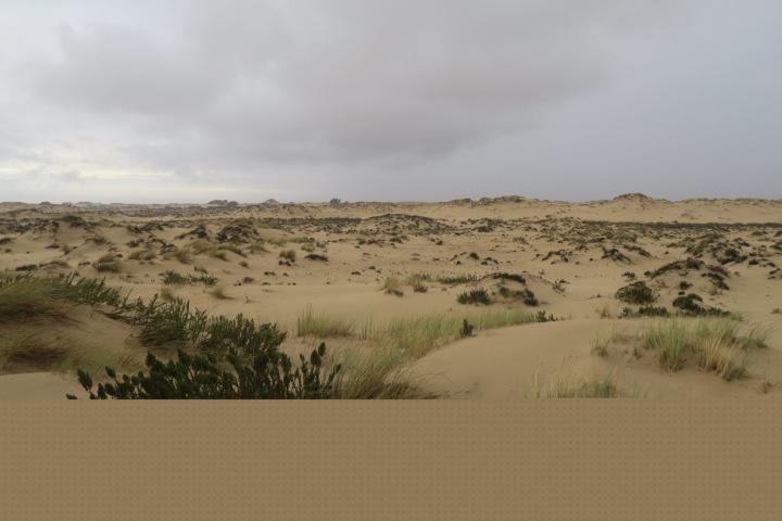 Dünenlandschaft im Donana Naturpark