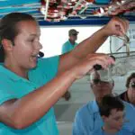Eco-Boat-Tour in Sarasota: Einblicke ins Unterwasserparadies von Florida
