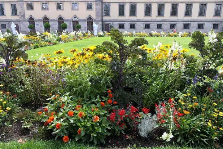 Bunte Blumen und Kohl im Schlossgarten von Fulda