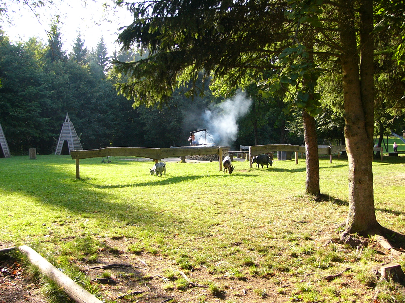 Roßberg bei Albstadt - Hier werden Kindheitsträume lebendig!