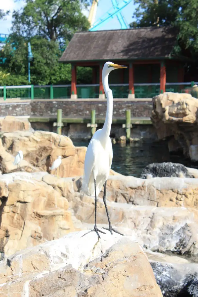 100503 Florida 2010 413