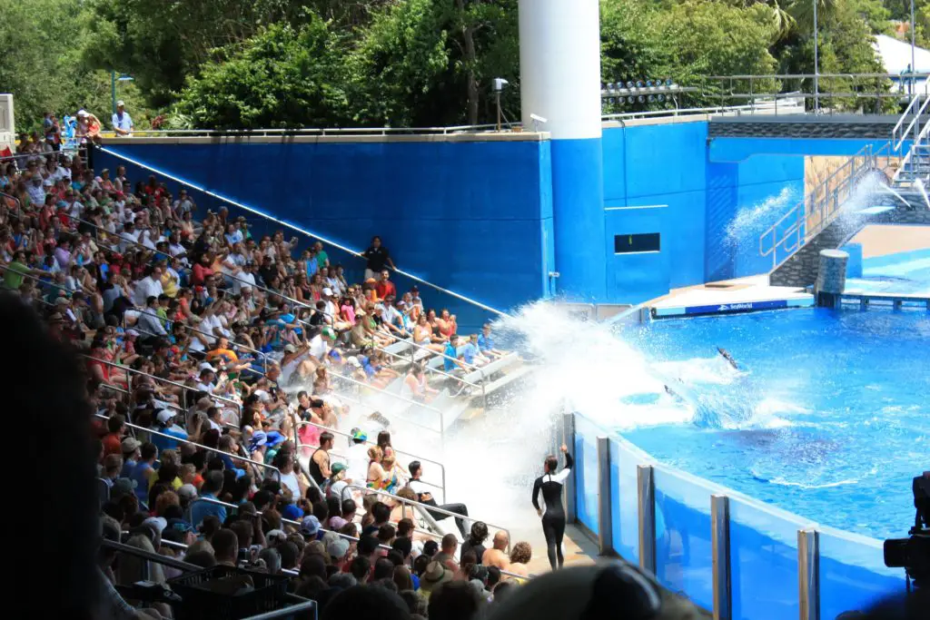 100503 Florida 2010 381